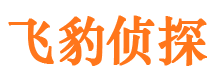 界首市侦探调查公司